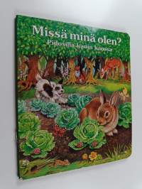 Missä minä olen? : piilosilla kanin kanssa