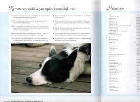Lemmikki kuvaus