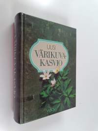 Uusi värikuvakasvio