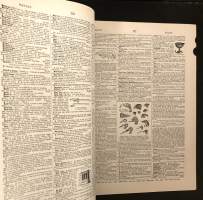 Webster&#039;s Revised Unabridged Dictionary of the English Language 1913