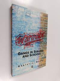 Wannabe - Gangs in Suburbs and Schools