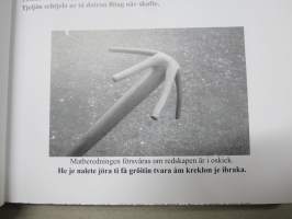 Tålsche talar di täische - En bok åp närpes fö ti såm a täj se jönåm KVA SÄIR DI