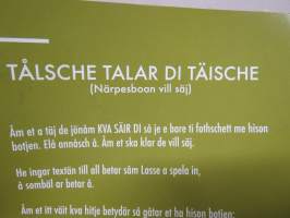Tålsche talar di täische - En bok åp närpes fö ti såm a täj se jönåm KVA SÄIR DI
