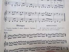 Pianoskola - Melodibok för ungdom. Praktisk anvisning att på kort tid, grundligt lära spela piano, jemte öfver 140 melodiska Musikstycken för två och fyra händer...