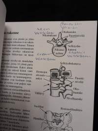 Anatomiaa ja fysiologiaa jooganohjaajille