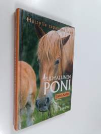 Pulmallinen poni