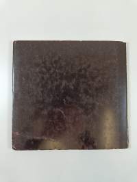 Stones in the darkness - Poems