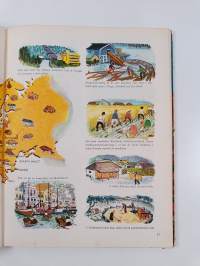 En gyllene bok om vår jord : en världsgeografi för yngre och äldre