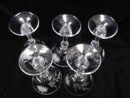 5 x 1900-l alun pikari