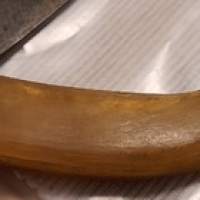 Antique Pruning Knife with bone Handle Linkkari
