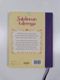 Satulinnan katveessa