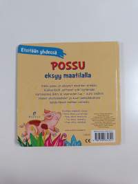 Possu eksyy maatilalla
