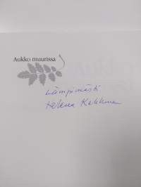 Aukko muurissa (signeerattu)