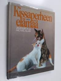 Kissaperheen elämää