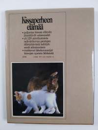 Kissaperheen elämää