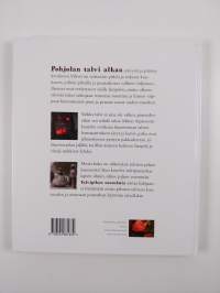 Talvipihan tunnelmia