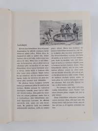 Kaukana metsässä