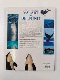 Valaat ja delfiinit