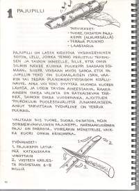 Pajupillistä pikisirkkaan- 40 perinteistä puulelua sanoin ja kuvin