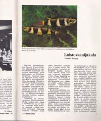 Akvaariolehti 7 / 1984. Liitteenä tetra akvaariokalojen kotiapteekki.