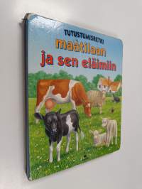 Tutustumisretki maatilaan ja sen eläimiin