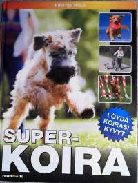 Superkoira