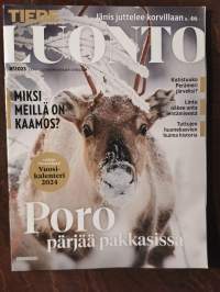 Poro pärjää pakkasessa. Tiede Luonto 8/2023
