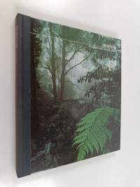 Borneo