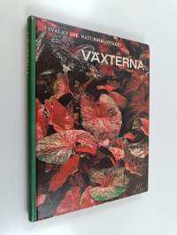 Växterna