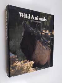 Wild Animals of North America