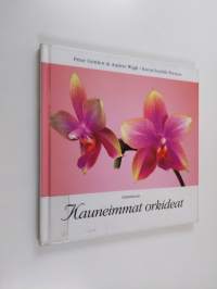 Kauneimmat orkideat