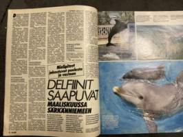 Seura 1985 nr 10, Helsinki on  vakoilijoiden paratiisi, Eppu Normaalin voimakaksikko, Eija Ahvo ja Susanna Haavisto, delfiinit saapuvat