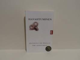 Havahtuminen