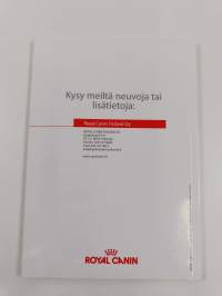 Kissanpentuopas