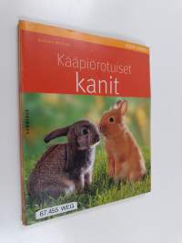 Kääpiörotuiset kanit