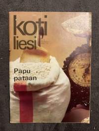 Kotiliesi 1974 nr 10, Pirjo Lausamo-Laine, Villa Jussi, kesäkeittiö, Toini ja Antti Sointu perheineen - syö terveesti voit hyvin