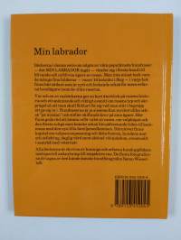Min labrador