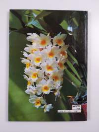 Kodin kukat : Orkideat 1