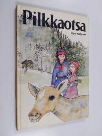 Pilkkaotsa