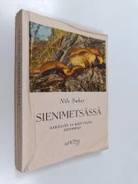 Sienimetsässä