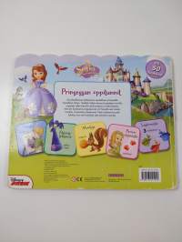 Prinsessan oppitunnit