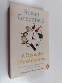 A day in the life of the brain : the neuroscience of consciousness from dawn till dusk