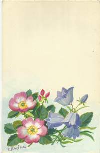 Elena Kojine,   Kukkia   alkuperäismaalaus, postikortin originaali 21x13  cm kehystämätön sign E Kojine  /  Elena Kojine syntyi 1871 Venäjällä ja kuoli