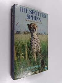 The Spotted Sphinx