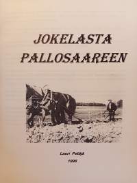 Jokelasta Pallosaareen