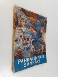 Pahkalinnan sankari : seikkailukertomus kesäsiirtolasta