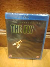 The fly