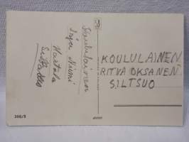 pääsiäiskortti Tiput kanatarhassa