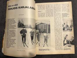 Kotiliesi 1969 nr 3, Mitä on elää Pohjois-Karjalassa?, Miten ripustan taulun?