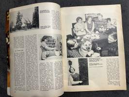 Kotiliesi 1969 nr 3, Mitä on elää Pohjois-Karjalassa? - Aune ja Urho Turunen, Laura ja Unto Puhakka, Miten ripustan taulun?